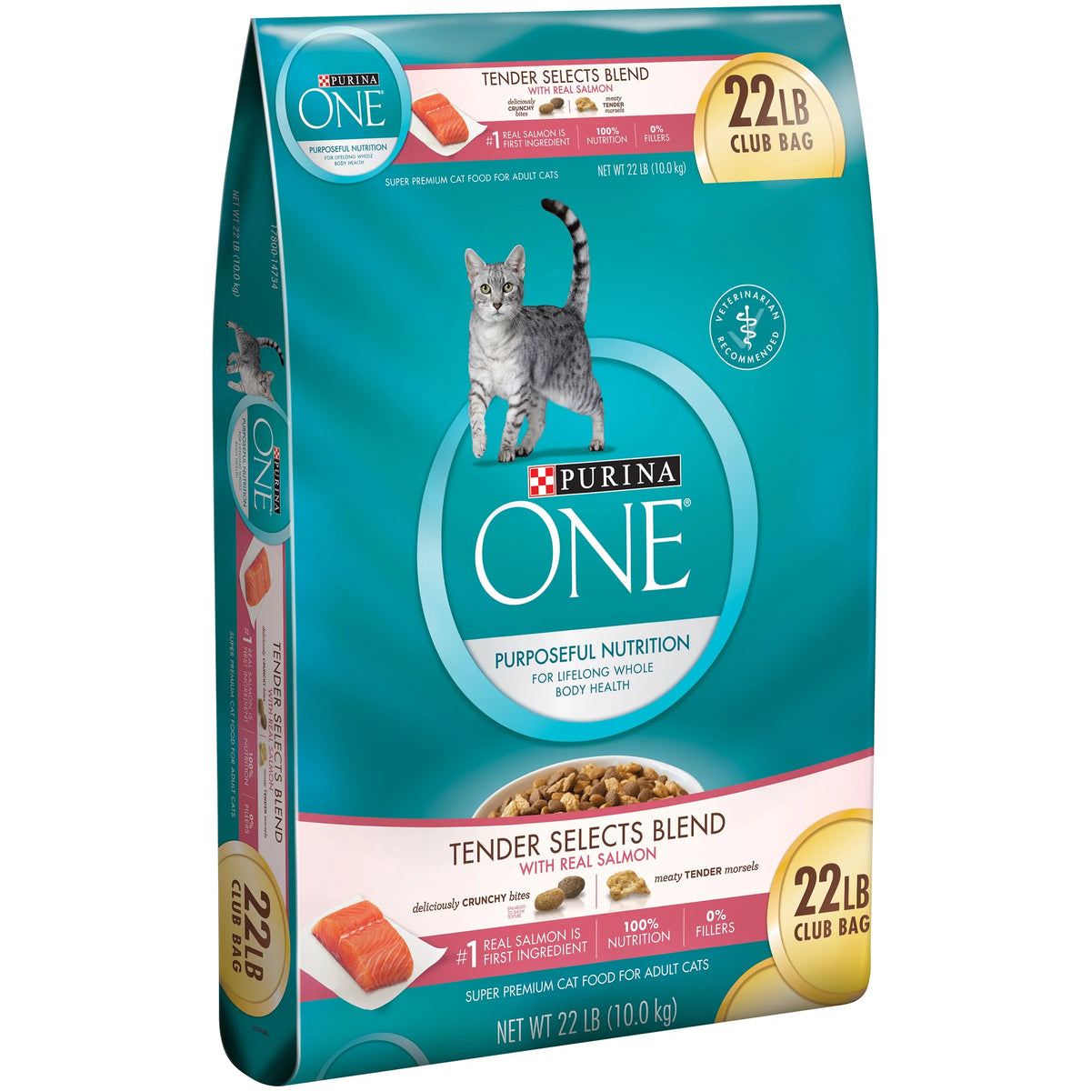 22 lb. Cat Food with Real Salmon S19915
