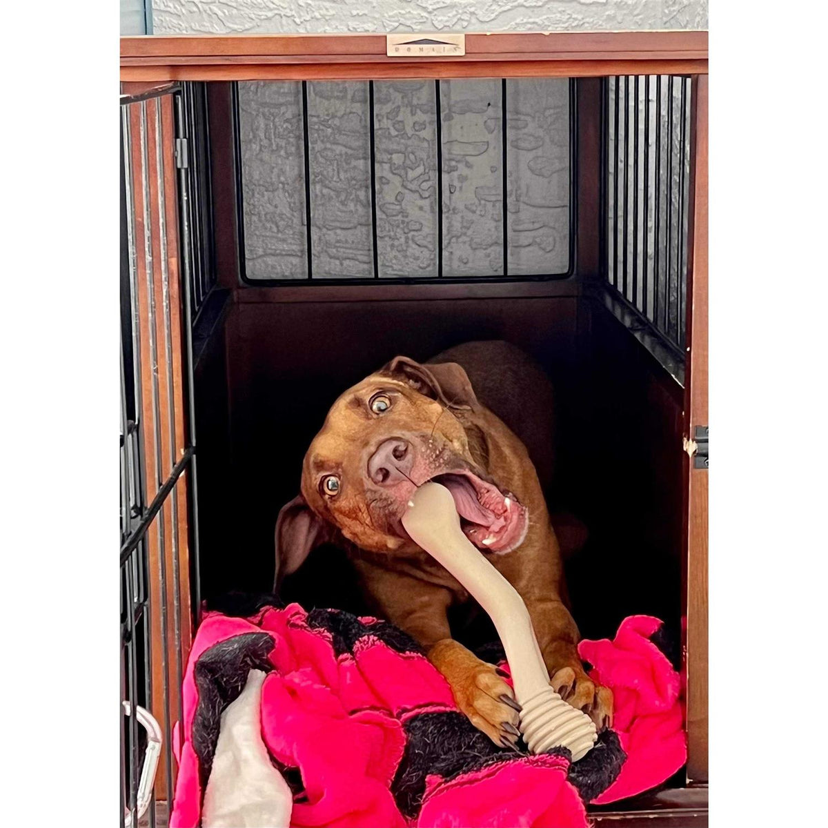 Tough Dog Chew Beef U29629