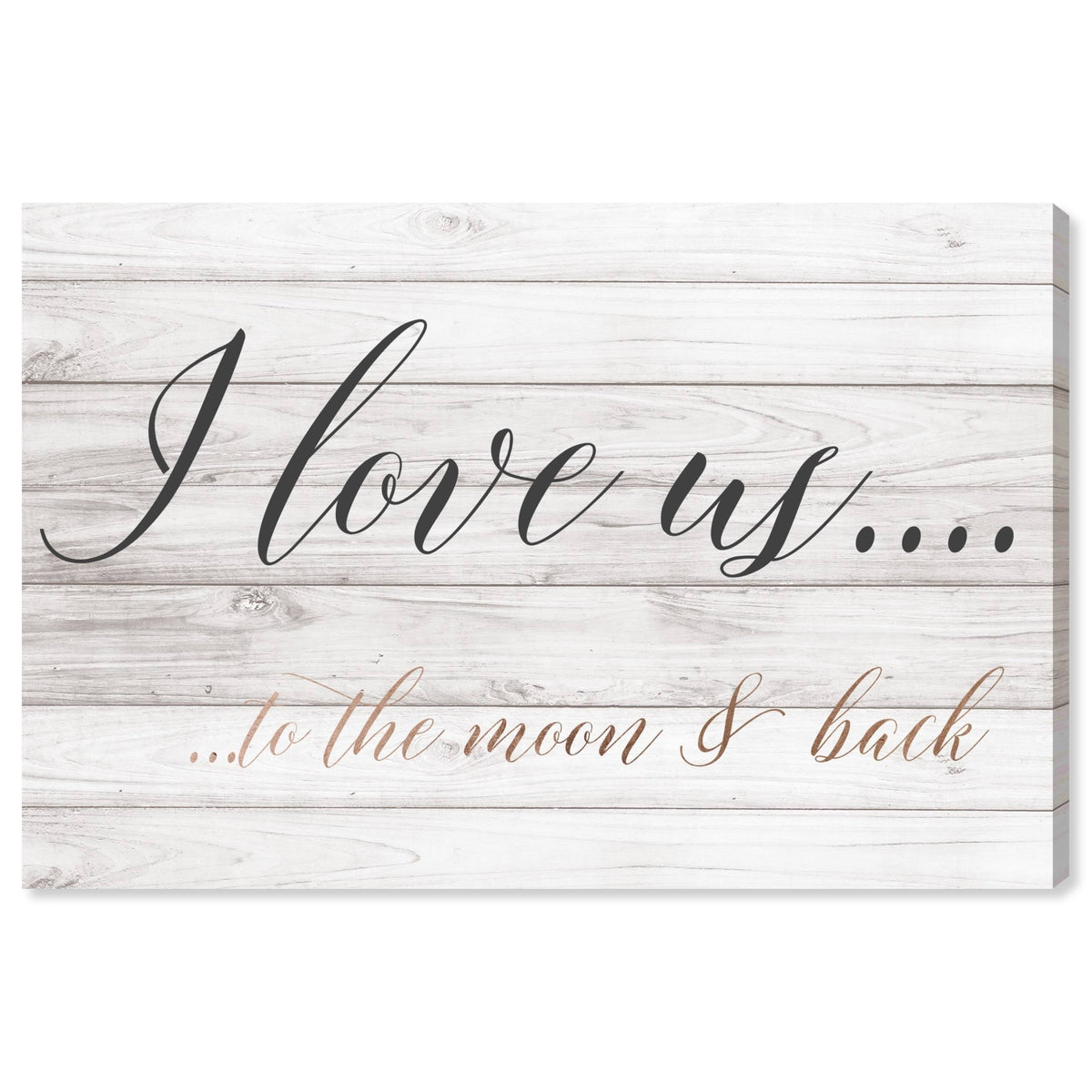 Pink Gold Canvas Art (16x24) Y1045