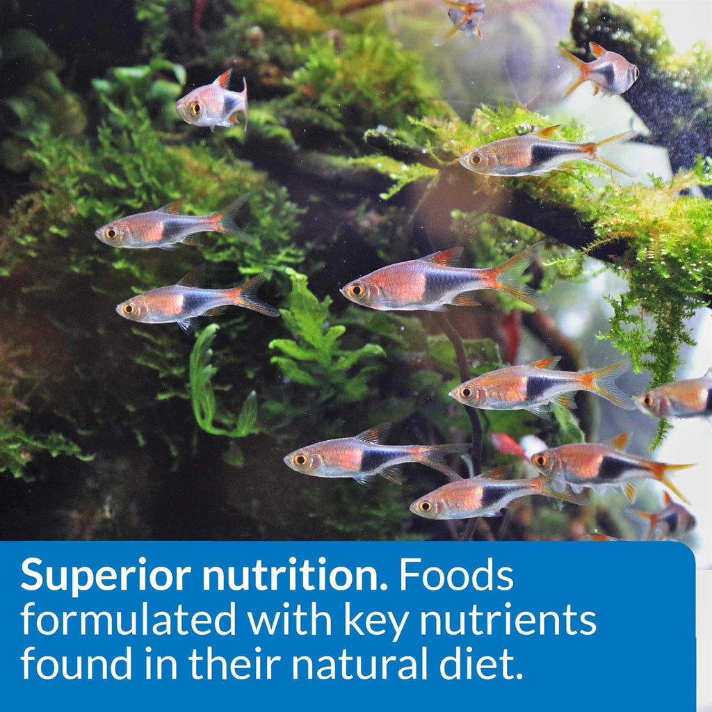Tropical Food O23659