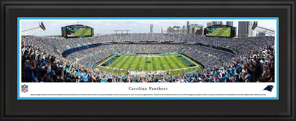 Framed Panoramic Pictures R228571