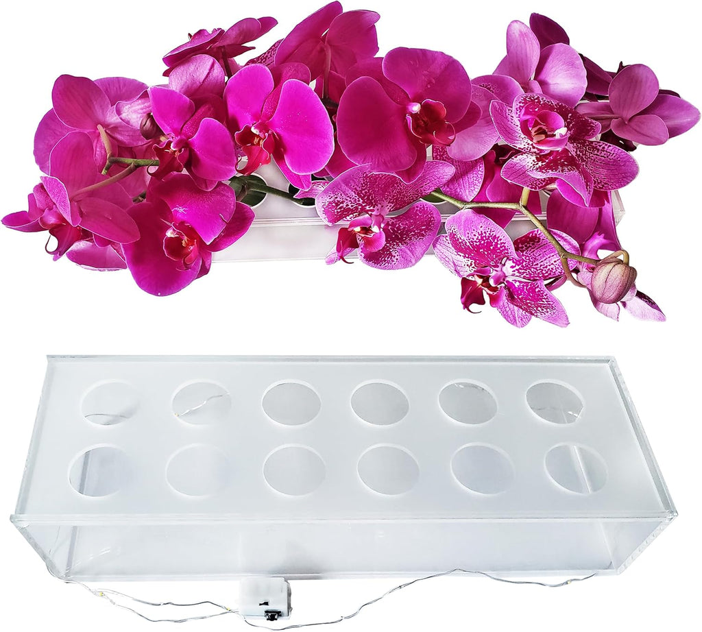 Clear Acrylic Rectangle Vase with Holes and Lights O521