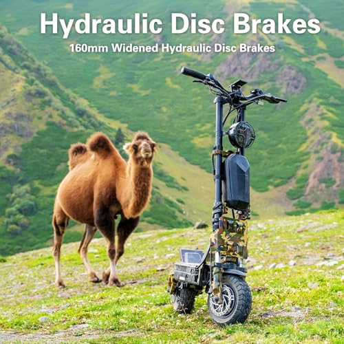 72V 45AH Battery 2000w Dual Motors Electric Scooter O66483
