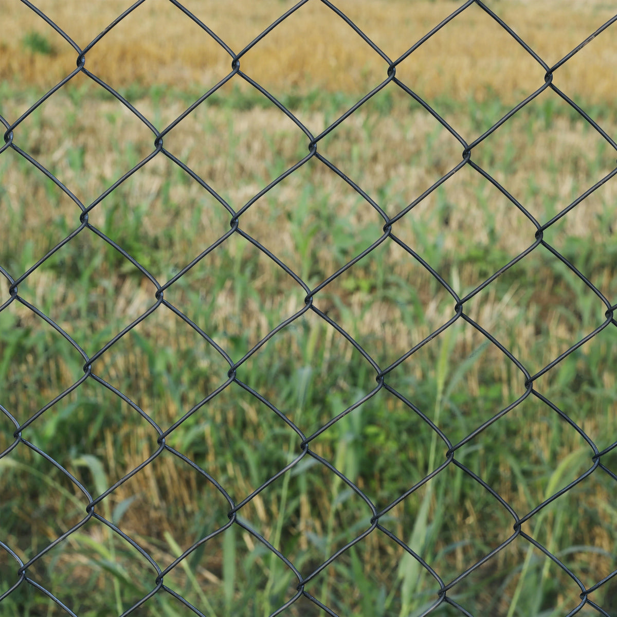 Black PVC Coated Chain Link Steel Fence 5X50 ft P97928