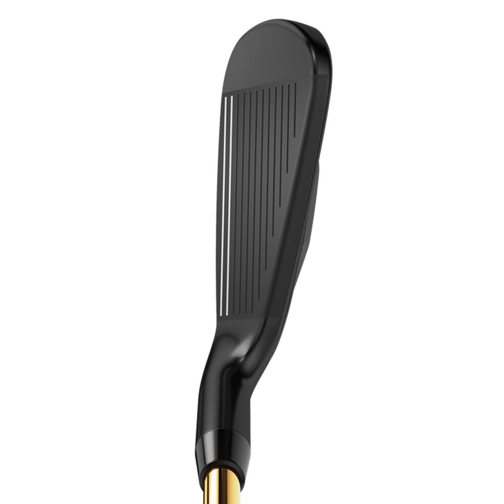 Individual Iron B6141