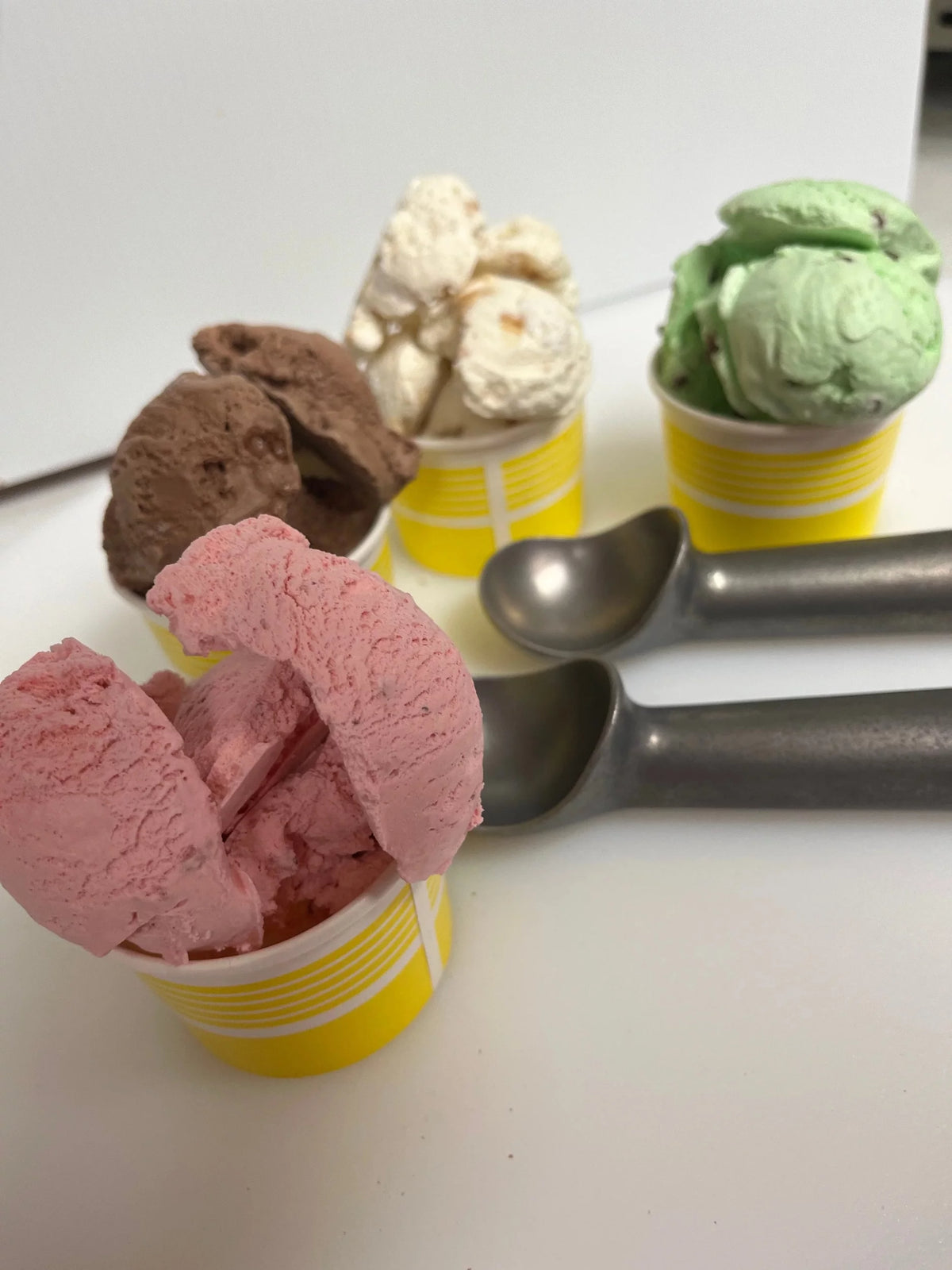 5 Pack Freeze Dried Ice Cream X771
