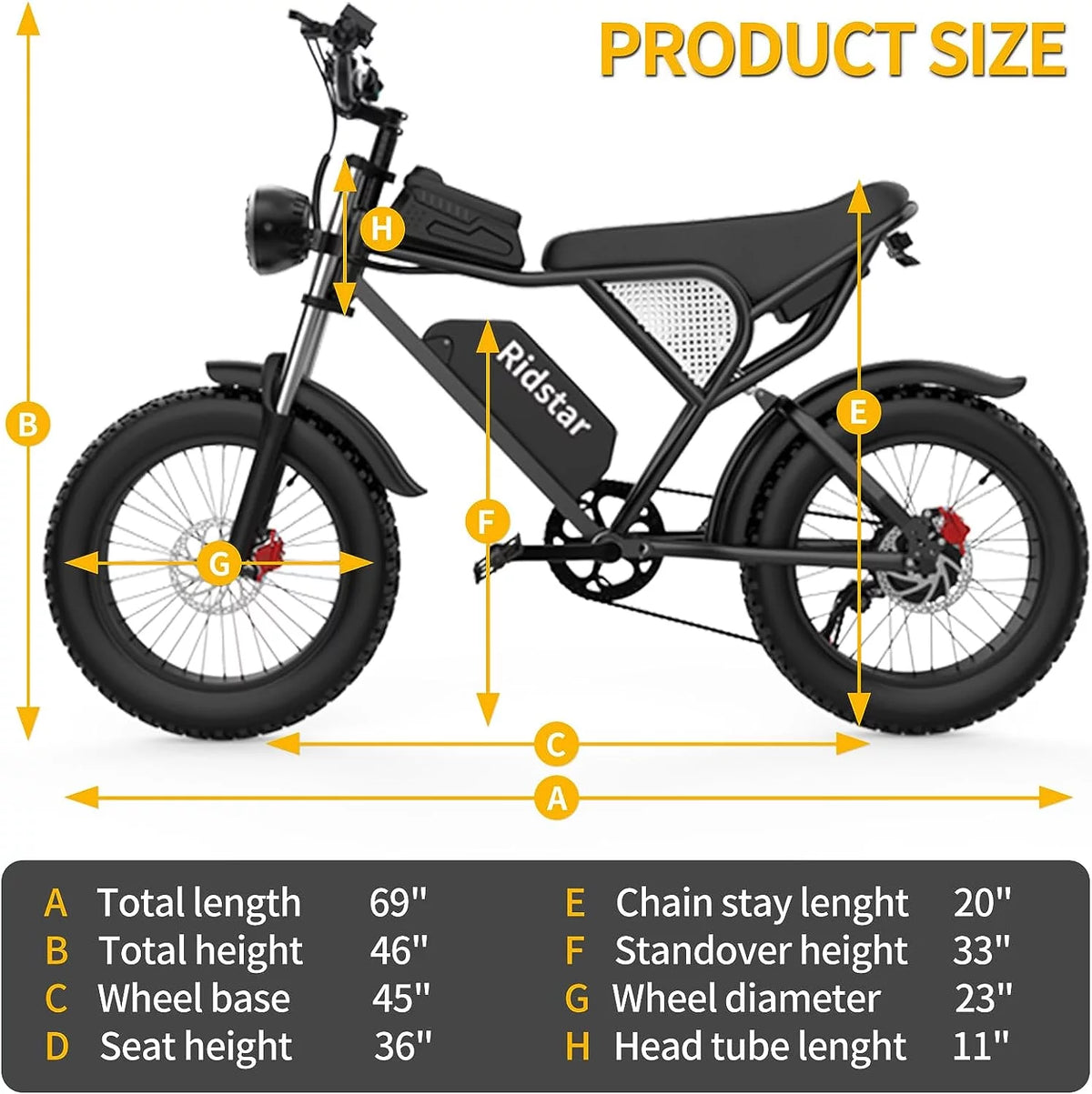 20" Fat Tire 1000W Electric Bike with Removable 48V/20Ah Battery D9992