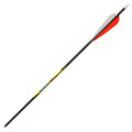 Carbon Arrows C892