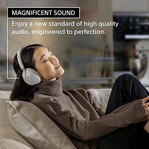 Wireless Noise Canceling Headphones (Silver) Y368549