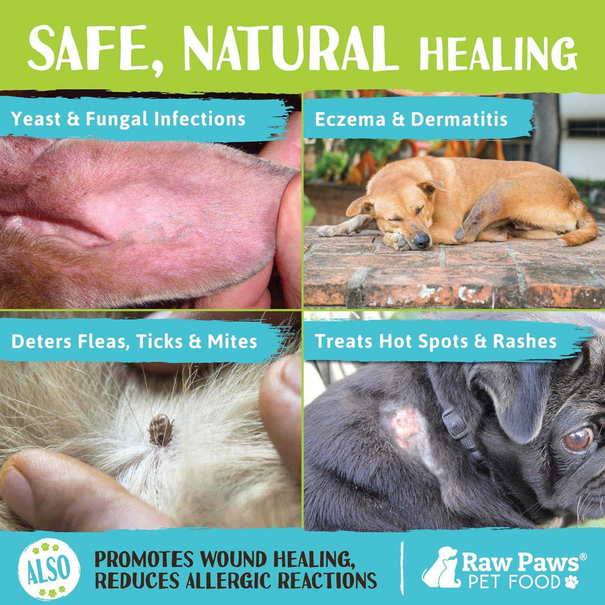 Organic Coconut Oil for Dogs & Cats A88863
