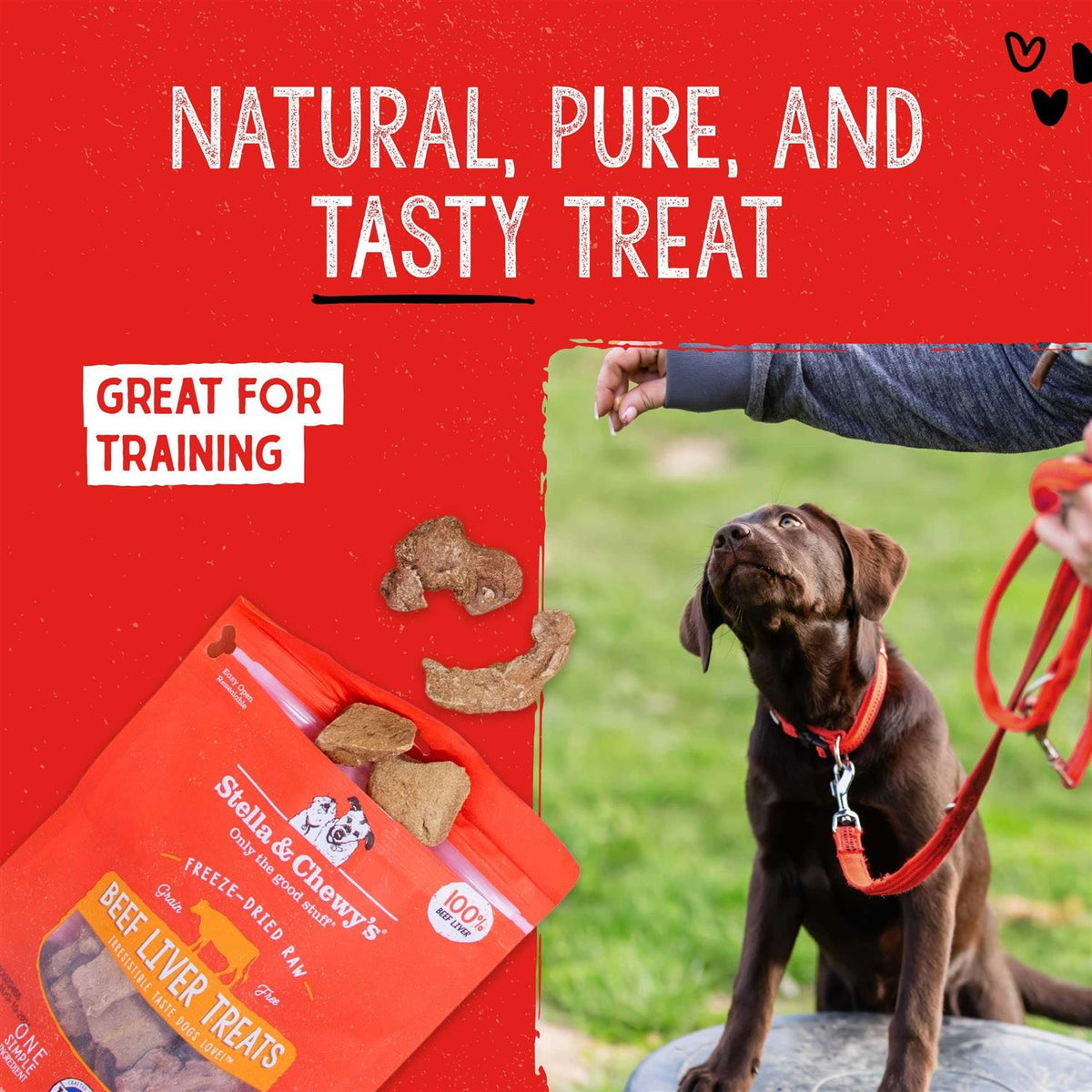 Beef Freeze Dried Dog Treats D190