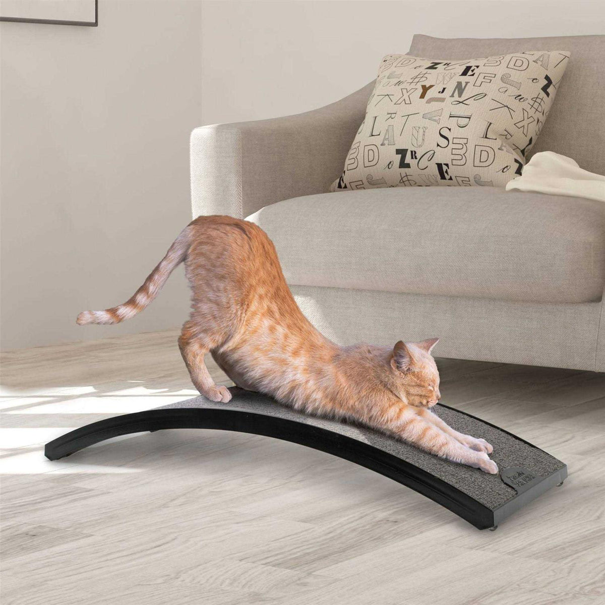 Curved Floor Scratching Board for Cats Y764048