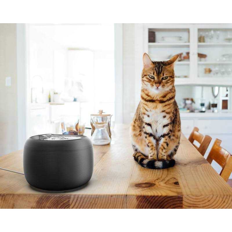 2.5 L Pet Water Fountain X805573
