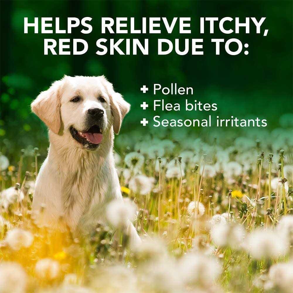 Allergy Itch Relief Shampoo B30765
