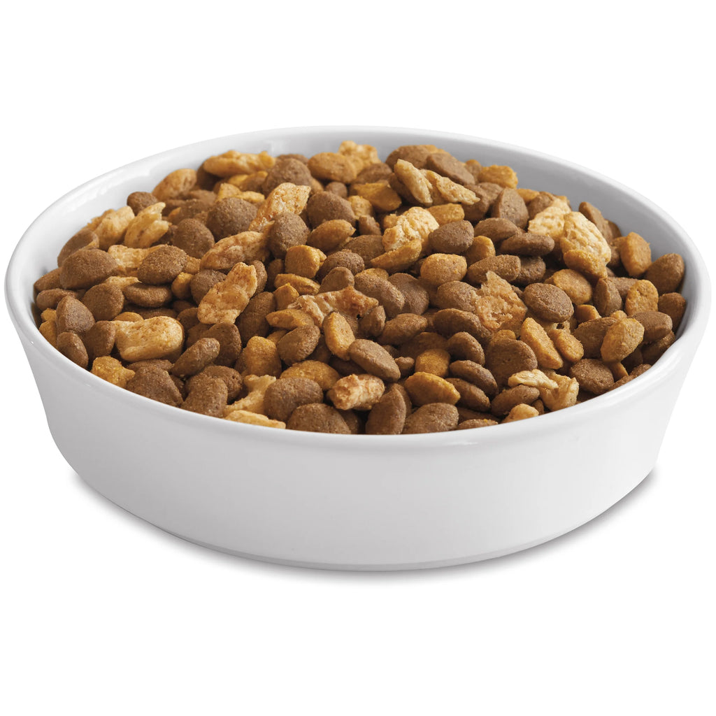 22 lb. Cat Food with Real Salmon S19915