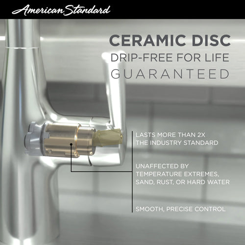 2-Handle Kitchen Faucet with Side Sprayer in Polished Chrome S86415