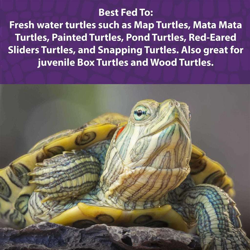Aquatic Turtle Gel O73397