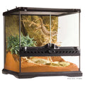 Glass Terrarium V45661