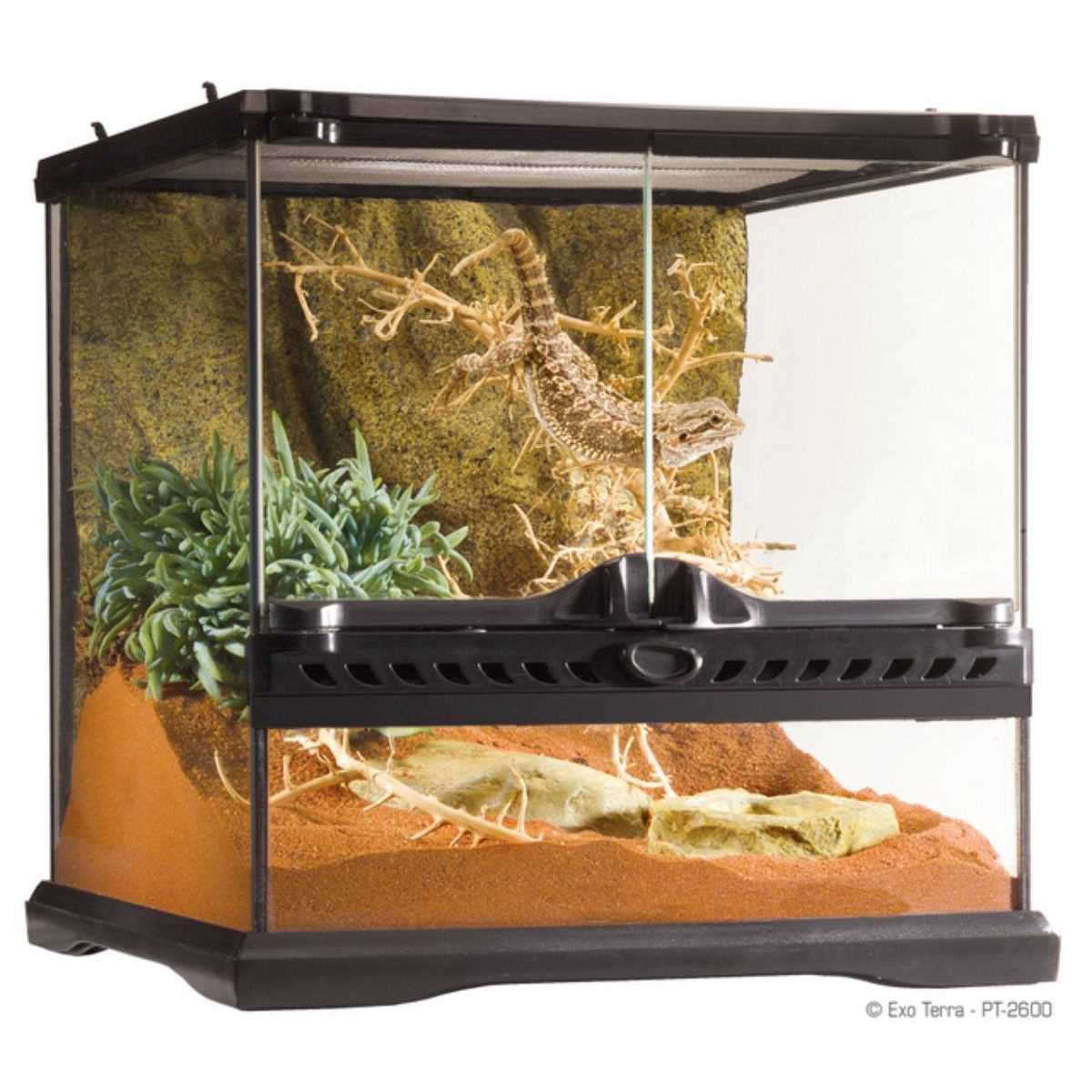Glass Terrarium V45661