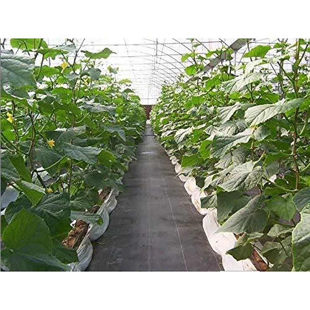 Woven Weed Barrier 3 x 100 foot Black 2 Pack M404