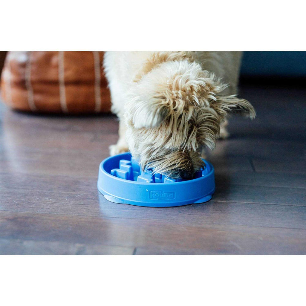 Fun Feeder Bowl T804728