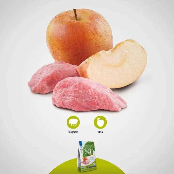 Boar Apple Adult Mini Dry Dog Food B315772