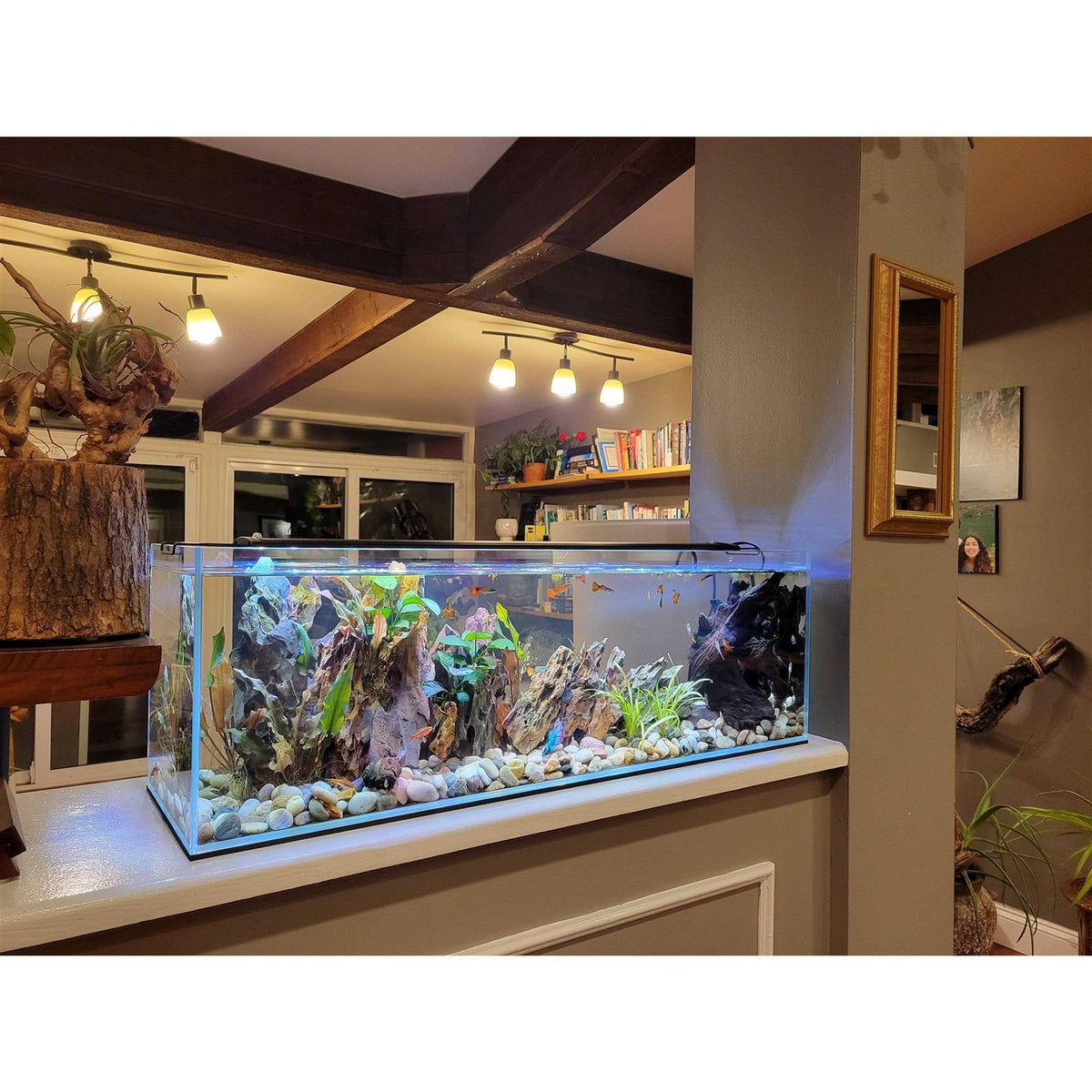 11 Gallon Clear Glass Bookshelf Aquarium X86679
