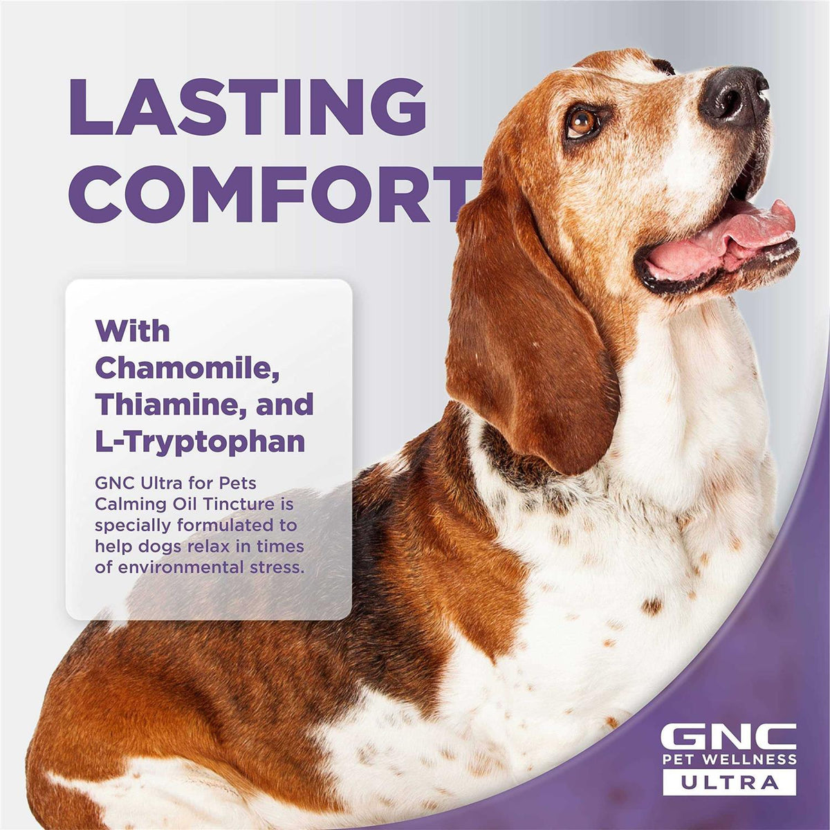 Pet Wellness Ultra Calming Support for Adult Dogs 2 Fluid Ounces Y2495