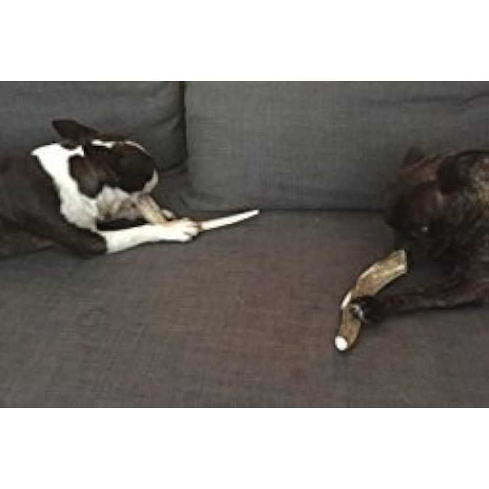 Deer Antler Dog Chews V138