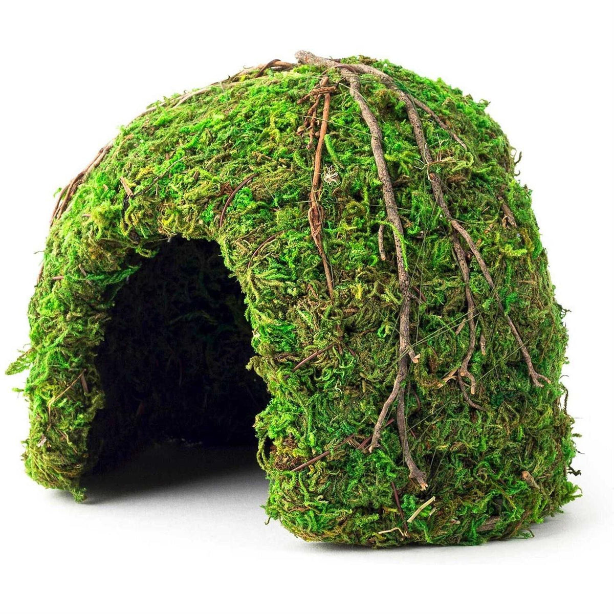 Green Mossy Dome G583