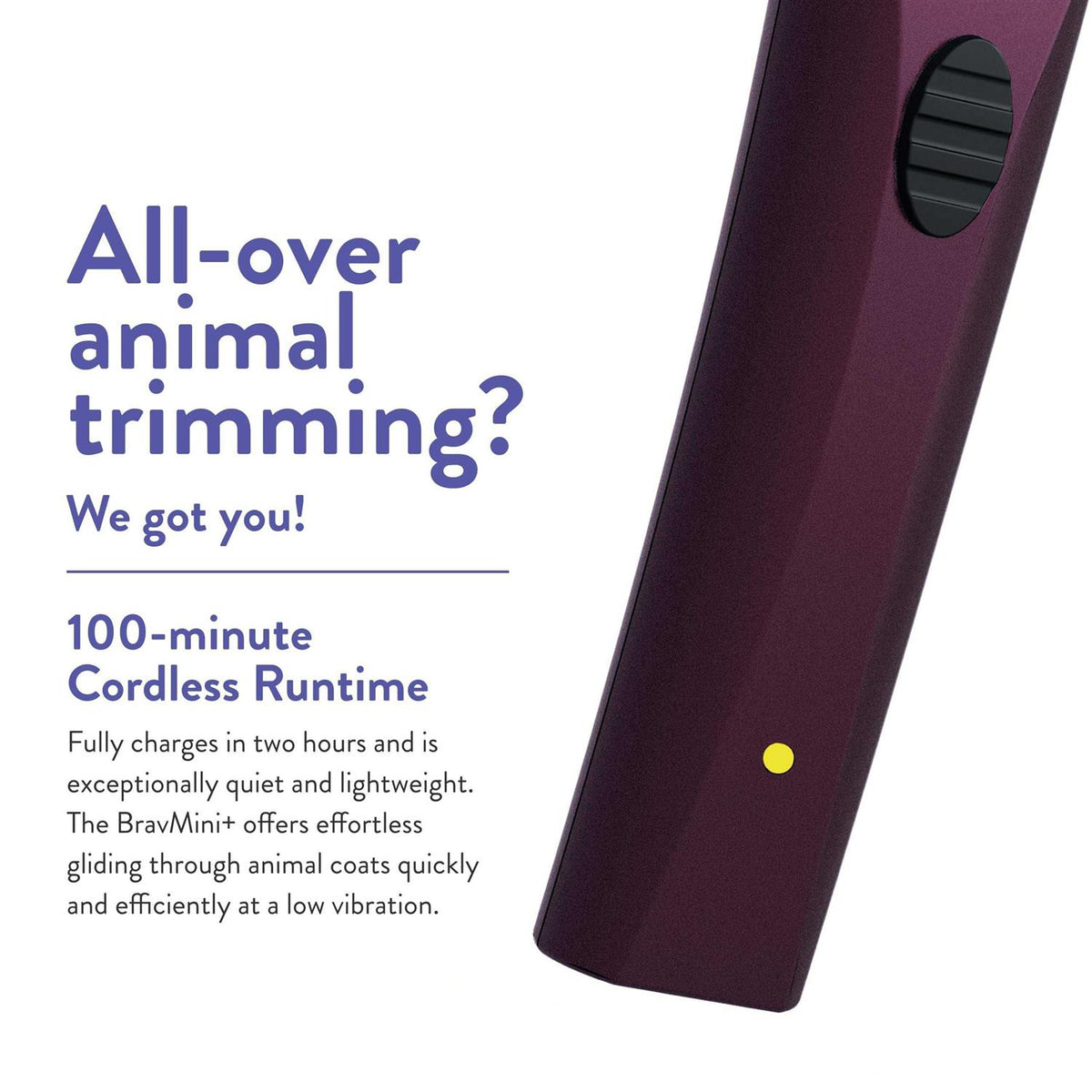 Pet Trimmer I21718