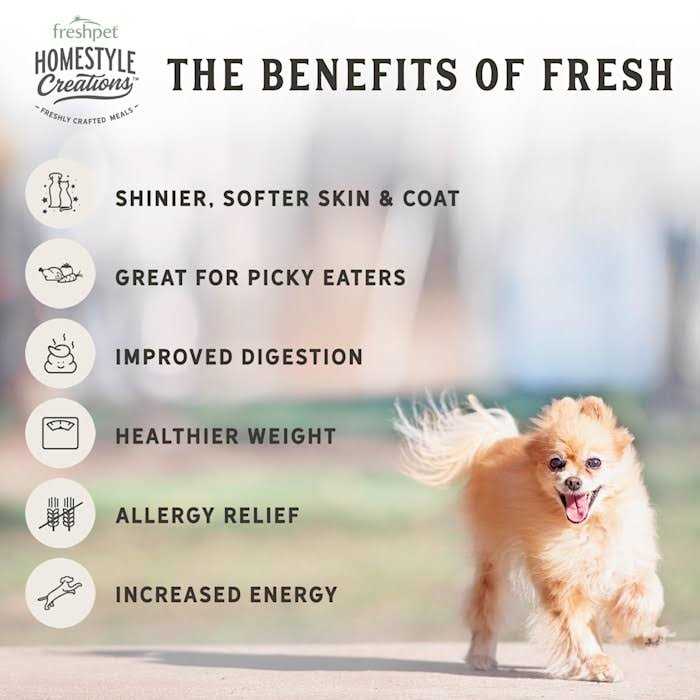 Chicken Patties Adult Wet Dog Food K52329