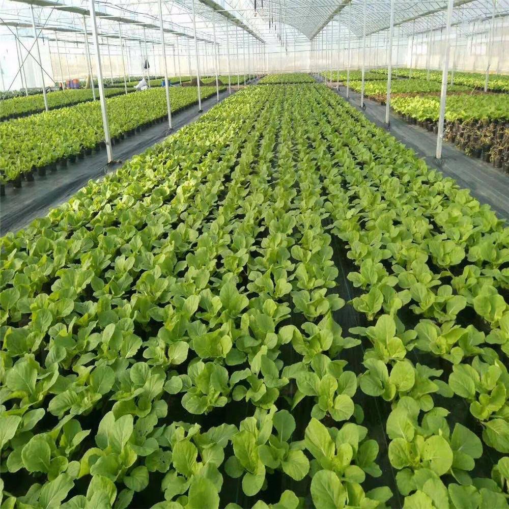 Woven Weed Barrier 3 x 100 foot Black 2 Pack M404