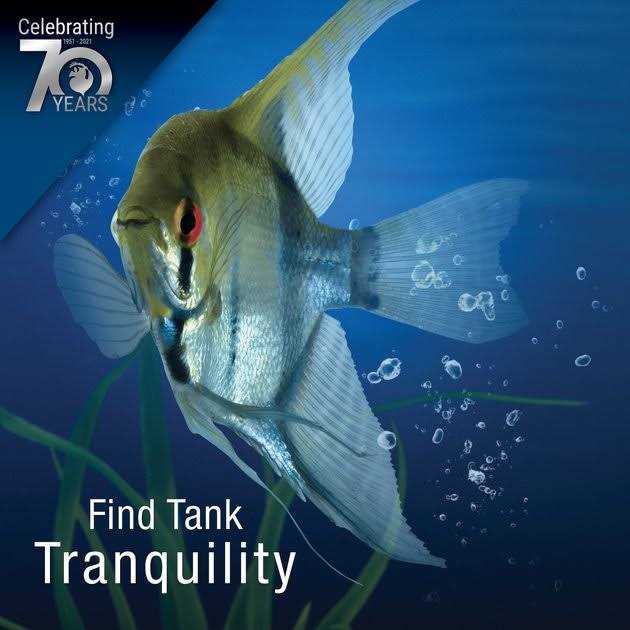 Terrarium & Aquarium Filter S907