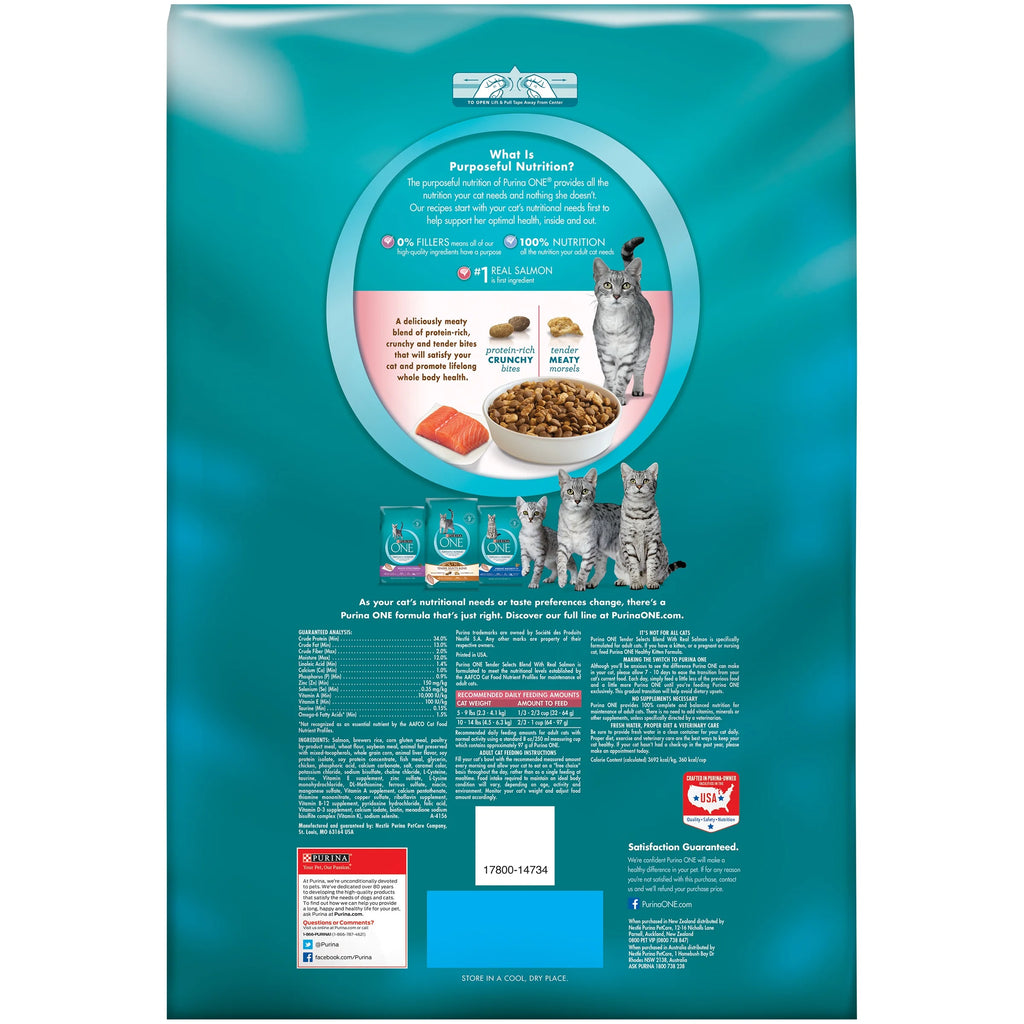 22 lb. Cat Food with Real Salmon S19915