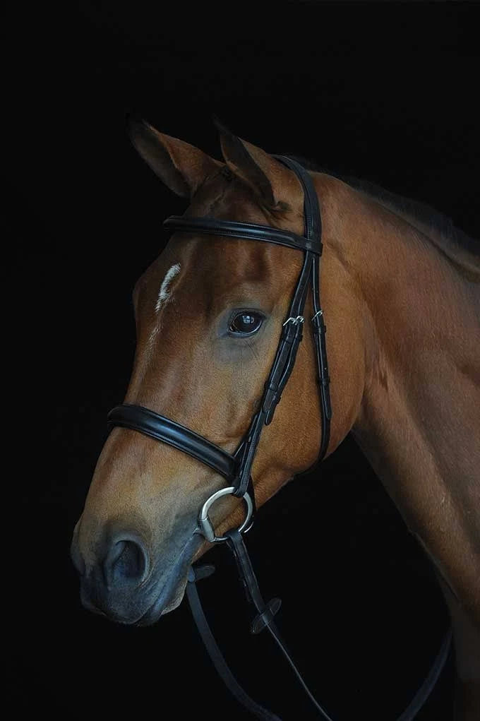 Padded Raised Cavesson Bridle - Black - COB X66635