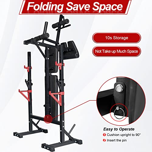 Weight Bench with Squat Rack, Adjustable Bench, Foldable Bench & Barbell Rack Stand, 660Lbs A62377