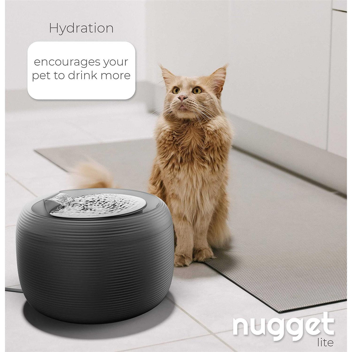 2.5 L Pet Water Fountain X805573