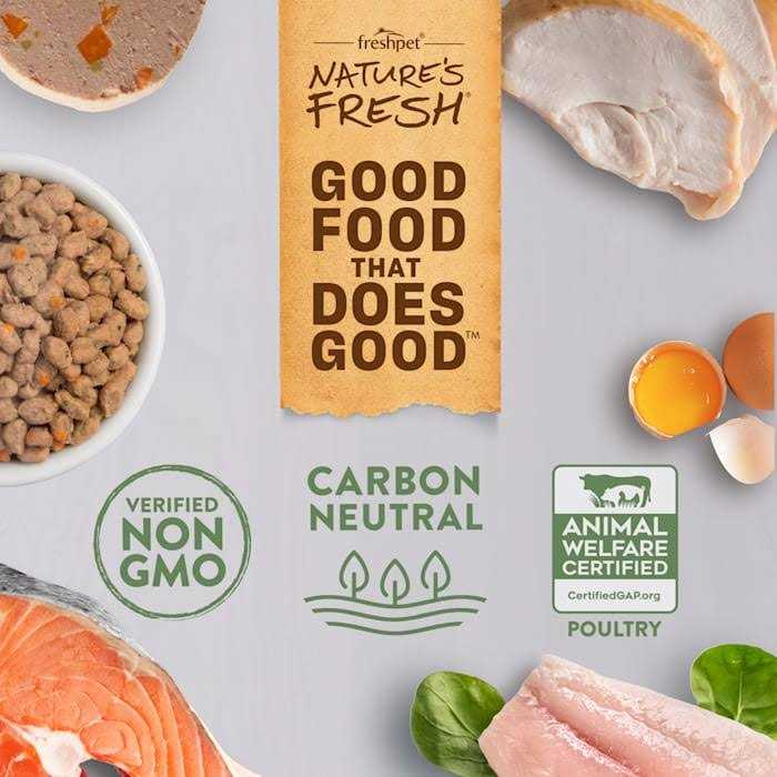Grain Free Chicken Recipe Dog Food I389843