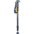 Carbon Fiber Monopod N496