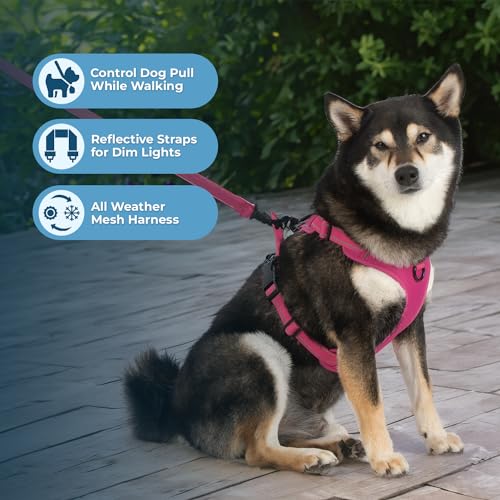 Purple Lattice Adjustable No-Pull Dog Harness Y864296