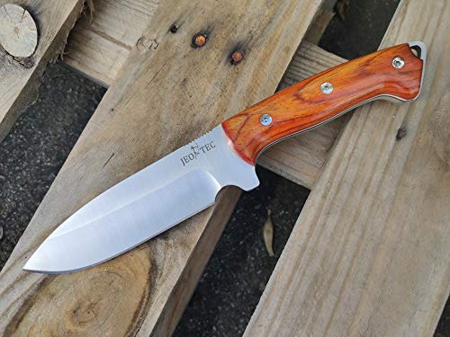 Fixed Blade Full Tang 11" MOVA Stainless Steel Knife with Sheath K1023