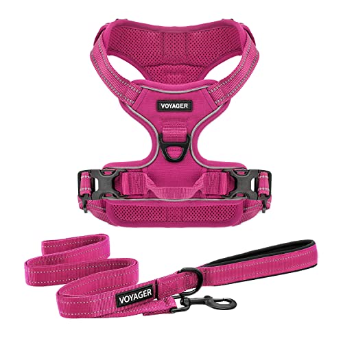 Purple Lattice Adjustable No-Pull Dog Harness Y864296