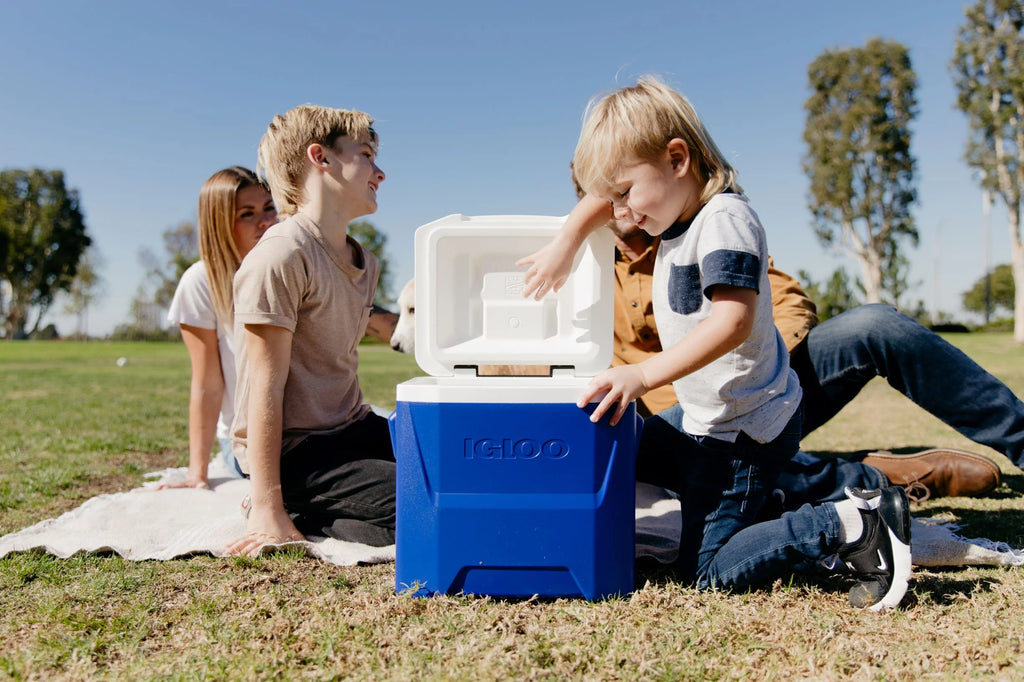 Blue 16 QT. Wheeled Ice Chest Cooler Q930929