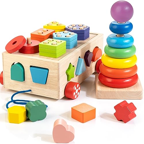 Wooden Blocks Shape Sorter Stacking Rings Baby Color Sorting Toys I489