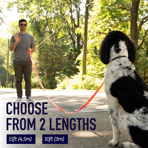10 Foot Dog Leash with Padded Handle P1390
