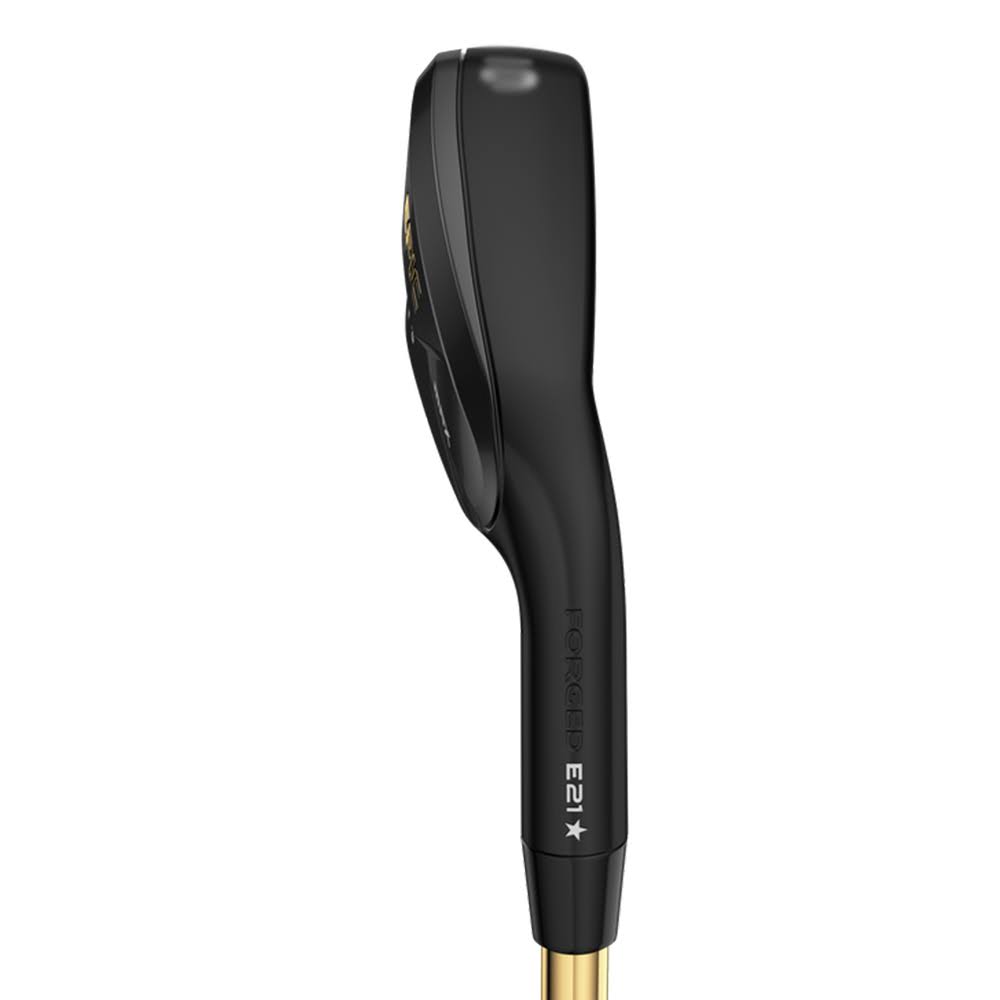 Individual Iron B6141
