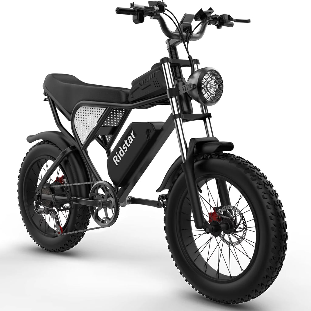 20" Fat Tire 1000W Electric Bike with Removable 48V/20Ah Battery D9992