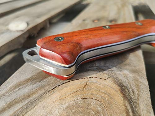 Fixed Blade Full Tang 11" MOVA Stainless Steel Knife with Sheath K1023