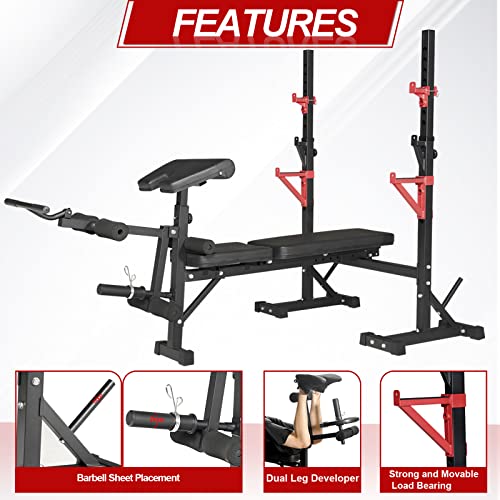 Weight Bench with Squat Rack, Adjustable Bench, Foldable Bench & Barbell Rack Stand, 660Lbs A62377